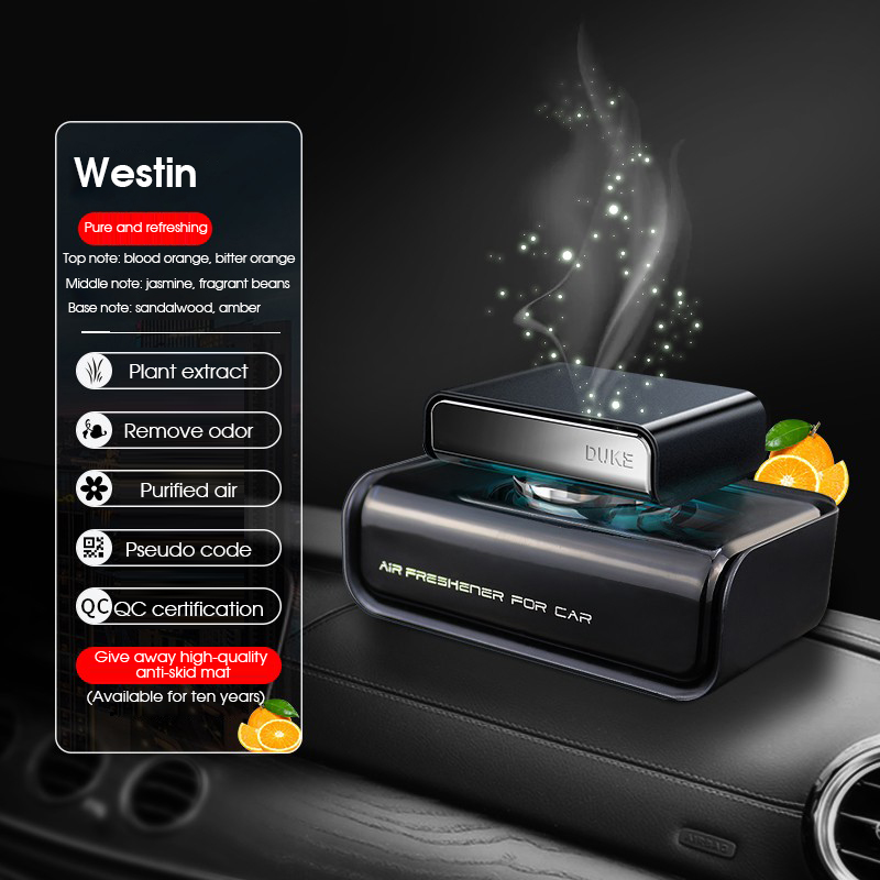 Home Fragrance Best - Profumo per auto Aromaterapia Diffusore Profumi